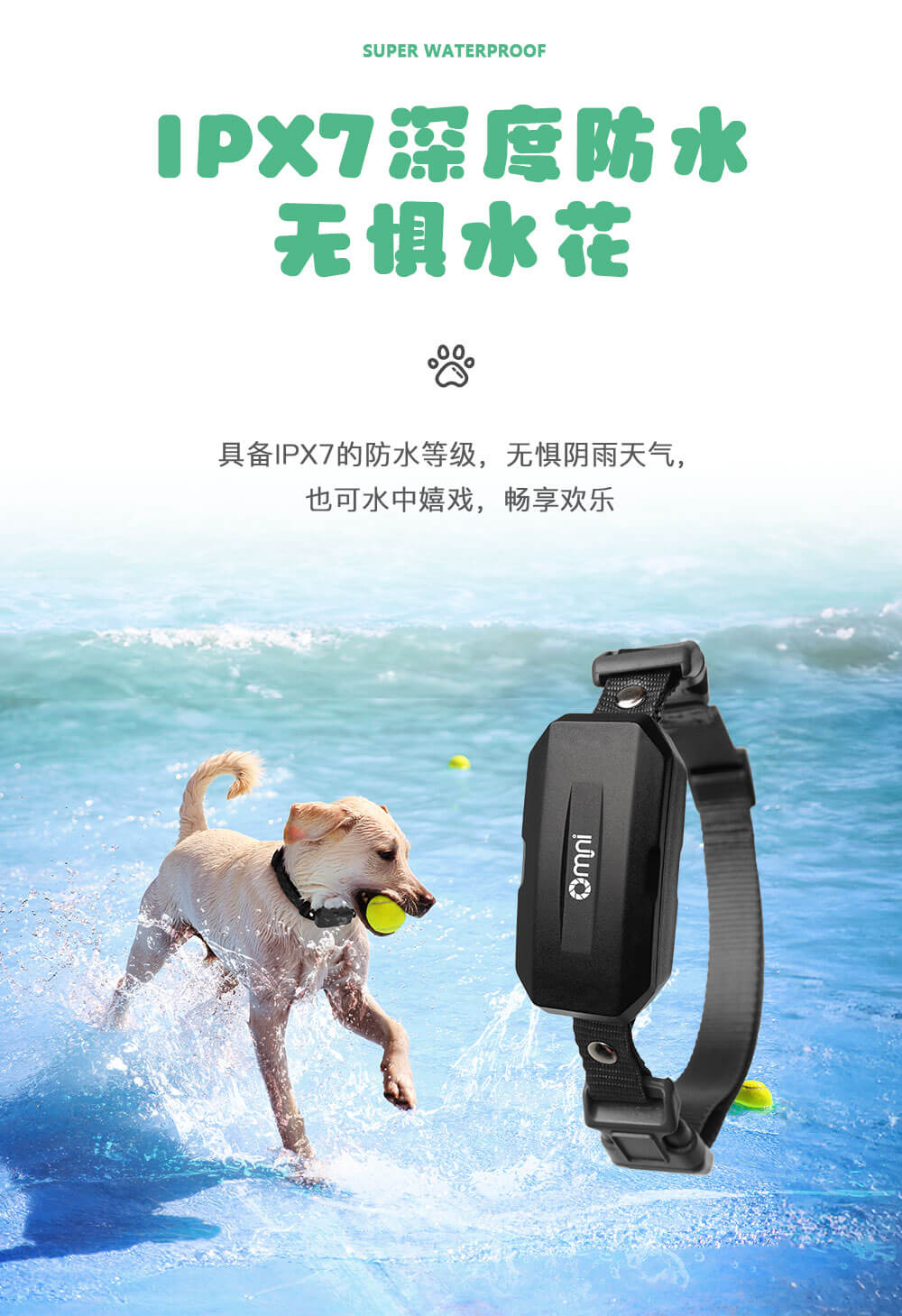 寵物追蹤定位器